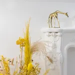 Апартаменты Brand New I Beachfront I 3 Min Old Town Anvers *